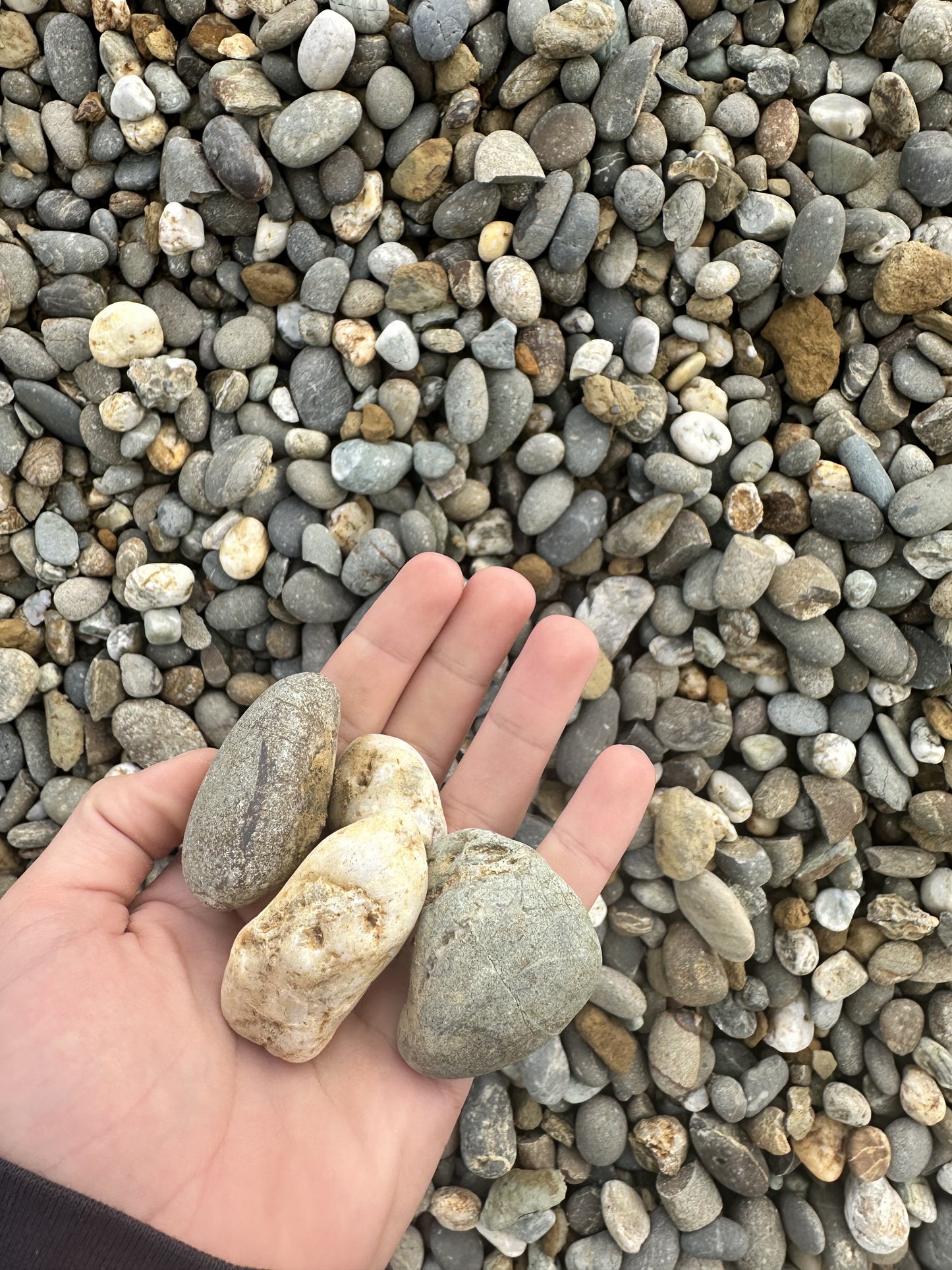 Uriti Pebbles/ RIver Stones/ Pebbles/Decorative stones - Citi Landscape Supplies Limited