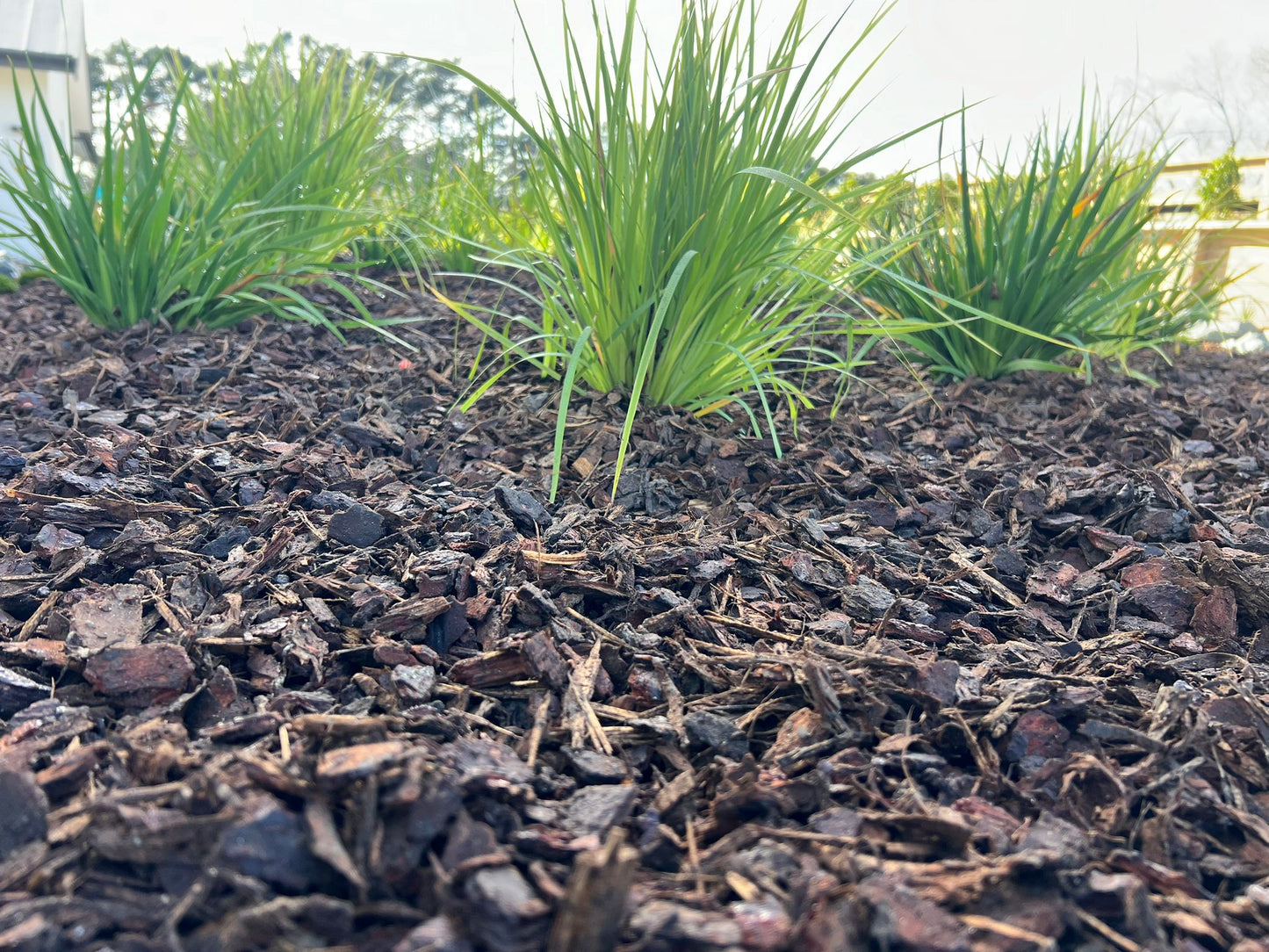 Citi Landscape Supplies | Bark number 4 | Bark no. 4 | Bark Number 5 | West Auckland