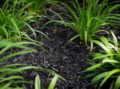 Black Mulch | Citi Landscape Supplies